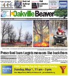 Prescribed burn targets menaces like buckthorn