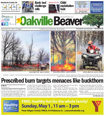 Oakville Beaver, 29 Apr 2016