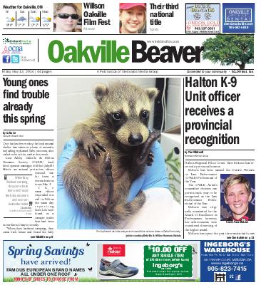 Oakville Beaver, 13 May 2016