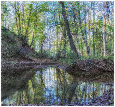 Reflections Along The Fourteen Glen Abbey