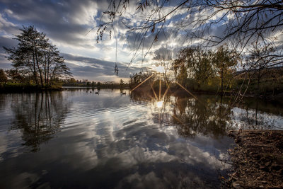 Evening Pond