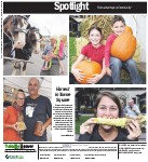 Harvest in Towne Square