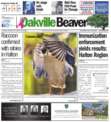 Oakville Beaver, 13 Oct 2016