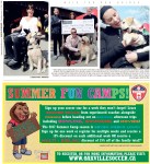 Walk For Dog Guides