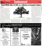 Great White Oak, at 260, is a witness to Canada's history