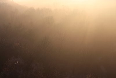 Sunrise over 16 Mile Creek