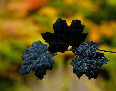 Autumn Decor Juxtaposed on Fall Colour