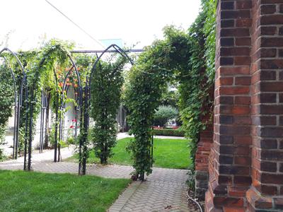 Cloister, Knox Church