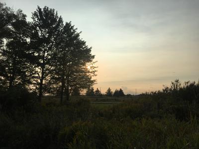 Bronte Creek Provincial Park Sunset