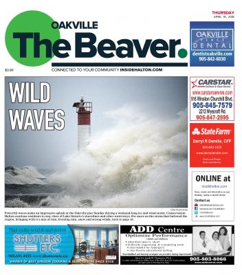 Oakville Beaver, 19 Apr 2018