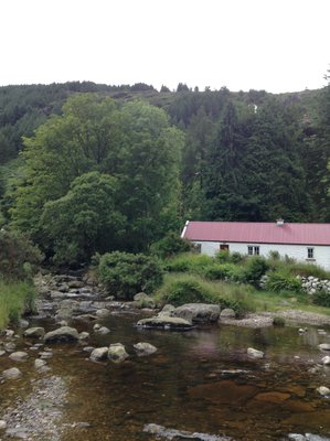 Wicklow Cottage 2016