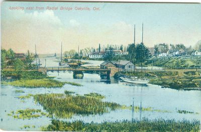 View From Radial Bridge Postcard