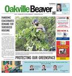 Oakville Beaver