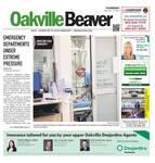 Oakville Beaver, 11 Aug 2022