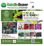 Oakville Beaver, 1 Jun 2023