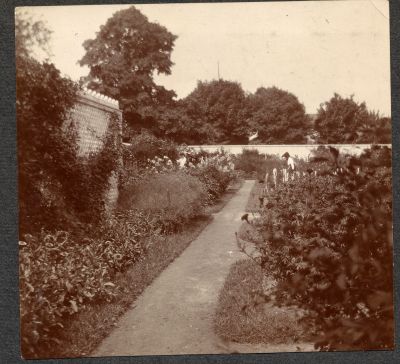 Mount Vernon's gardens
