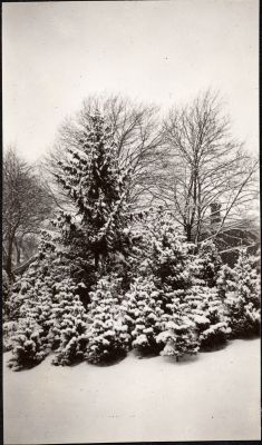 Erchless grounds in the winter