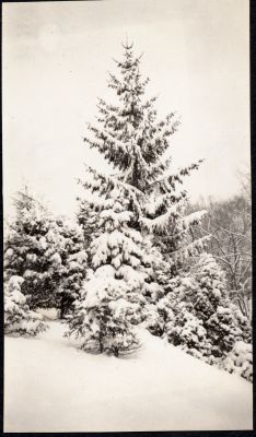 Erchless grounds in the winter