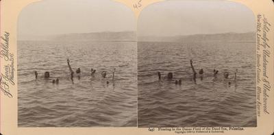 Floating in the Dense Fluid of the Dead Sea, Palestine.