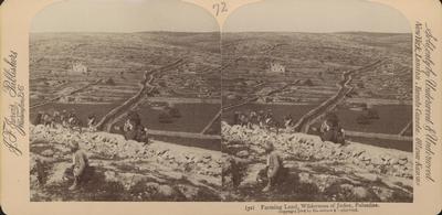 Farming Land, Wilderness of Judea, Palestine.