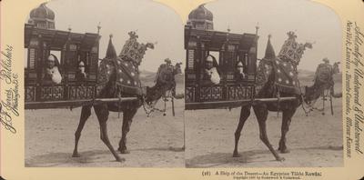 A Ship of the Desert- An Egyptian Takht Rawan.