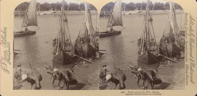 Boats along the Nile, Egypt.