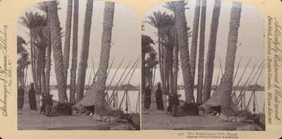 The Palm-fringed Nile, Egypt.