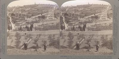 Garden of Gethsemane and Mount of Olives, from the eastern wall- Jerusalem, Palestine.