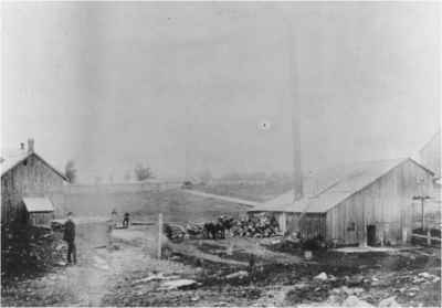 Camp No. 5, 1890