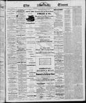Ottawa Times (1865), 29 Dec 1865