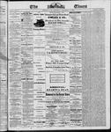 Ottawa Times (1865), 30 Dec 1865