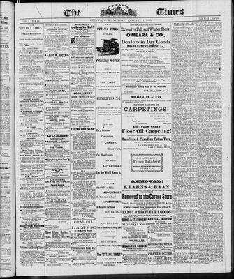 Ottawa Times (1865), 1 Jan 1866