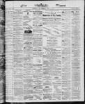 Ottawa Times (1865), 4 Jun 1867