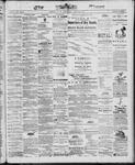 Ottawa Times (1865), 15 Jun 1867