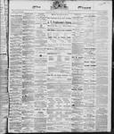 Ottawa Times (1865), 20 Jan 1868