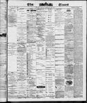 Ottawa Times (1865), 29 Jan 1869