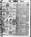 Ottawa Times (1865), 20 Nov 1869