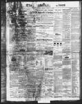 Ottawa Times (1865), 7 Jun 1872