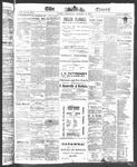 Ottawa Times (1865), 2 Jan 1873