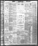 Ottawa Times (1865), 11 Jan 1873