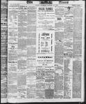 Ottawa Times (1865), 18 Jan 1873