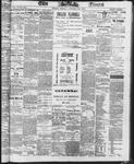 Ottawa Times (1865), 20 Jan 1873