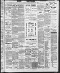 Ottawa Times (1865), 21 Jan 1873