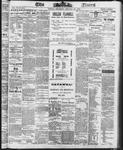 Ottawa Times (1865), 23 Jan 1873