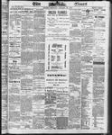 Ottawa Times (1865), 25 Jan 1873