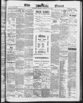 Ottawa Times (1865), 28 Jan 1873