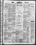 Ottawa Times (1865), 29 Jan 1873