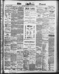 Ottawa Times (1865), 1 Feb 1873