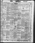 Ottawa Times (1865), 20 Feb 1873