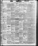 Ottawa Times (1865), 28 Feb 1873